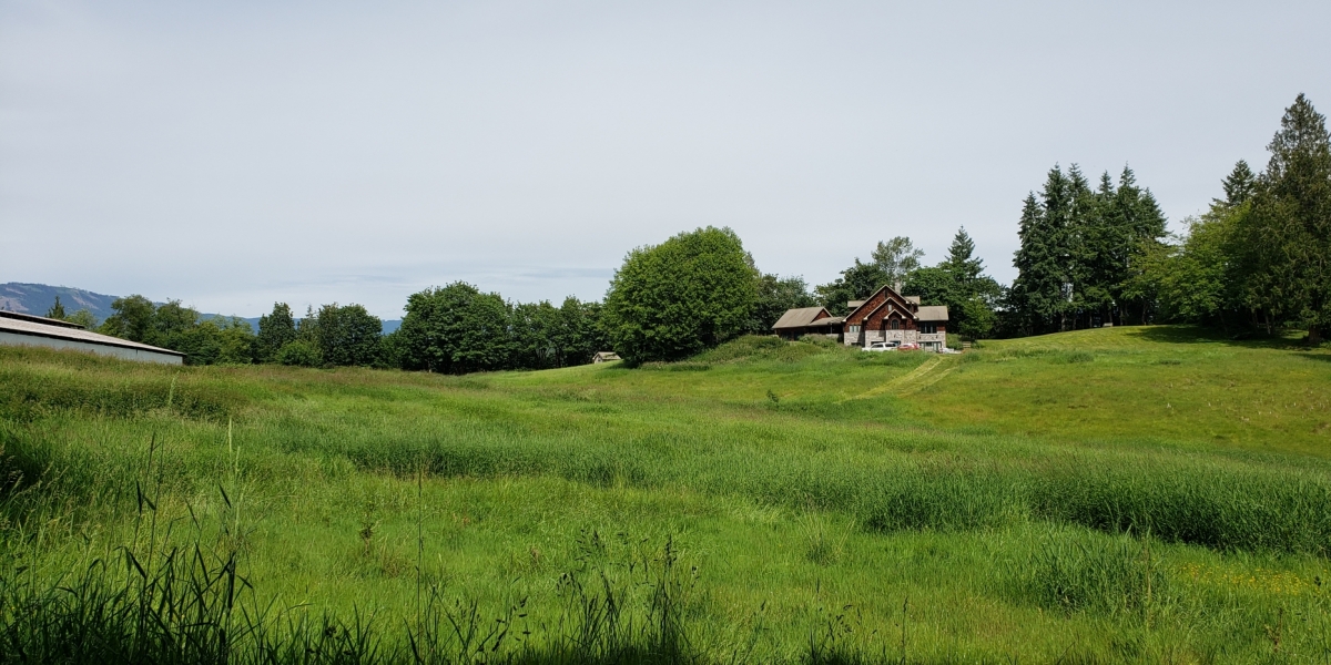 Riverside Retreat Photo